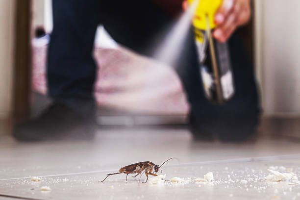 Reliable Felida, WA Pest Control Solutions